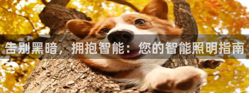 云顶集团总部在哪里