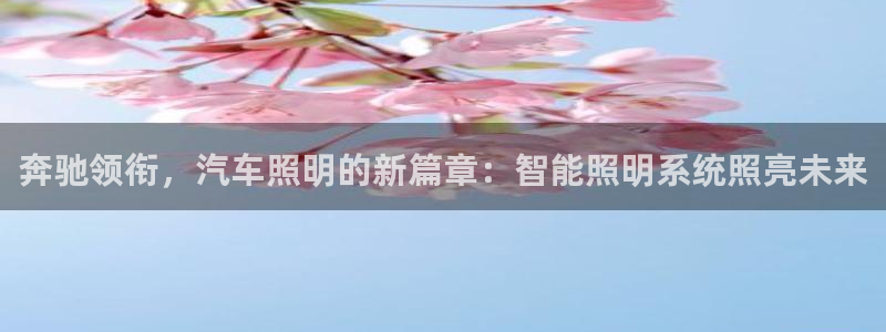 云顶国际服什么时候更新s90