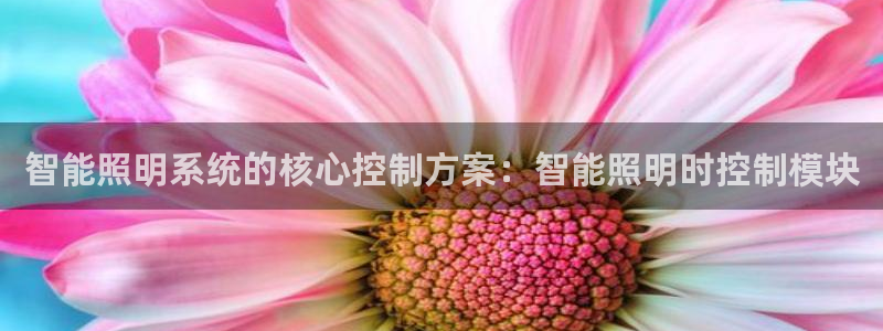 云顶国际酒店老板叫什么