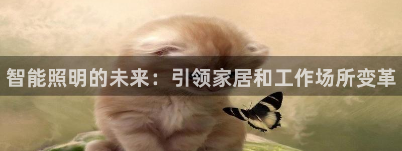 云顶国际集团