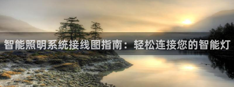 云顶国际app免费下载安卓