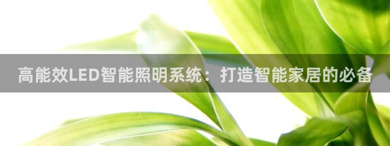 云顶集团官网登录入口