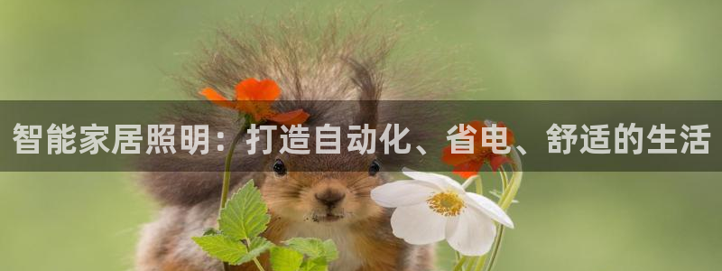 云顶国际广场A座