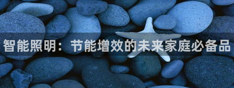 云顶国际高中学费多少一年
