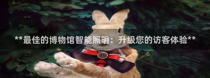 云顶国际网站是多少