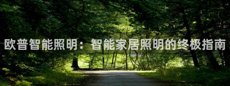 云顶国际商业广场怎么样