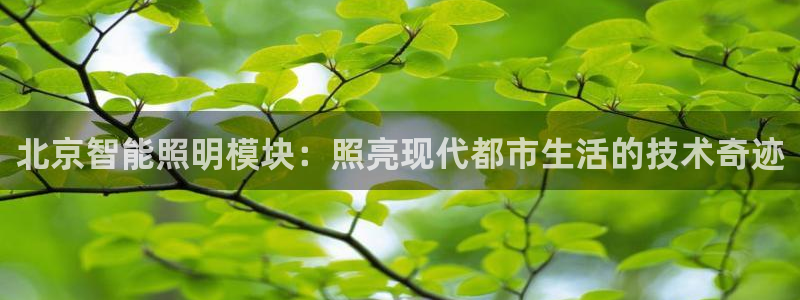 云顶国际音乐会所怎么样