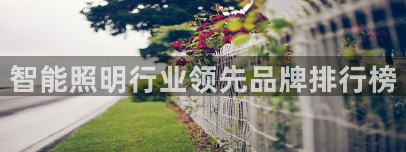 yd云顶集团app下载