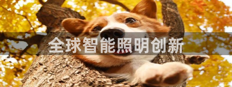 云顶国际服s9什么时候更新的