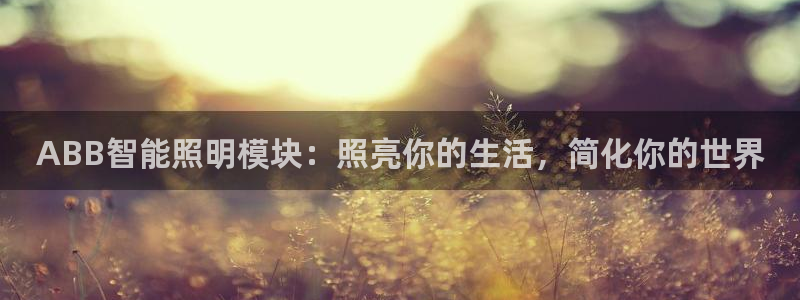 云顶国际物流官网网址
