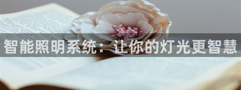 云顶集团游戏入口