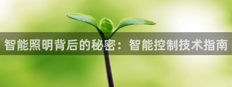 云顶国际商务会所怎么样