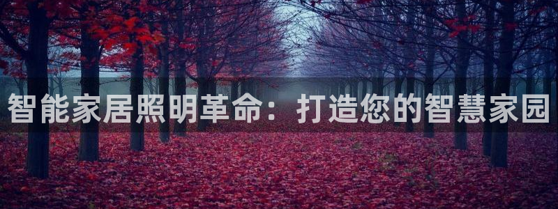 云顶国际装饰设计 宁波
