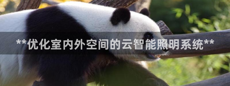 云顶集团中国公司