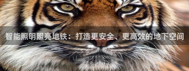 云顶国际晟荣协会荣誉奖项