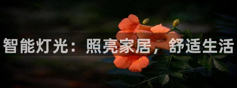 云顶集团在哪里