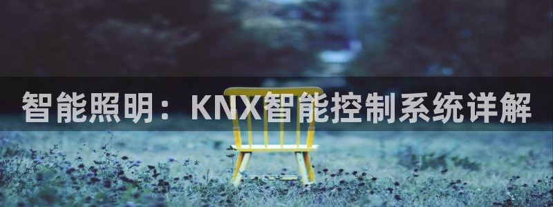 云顶国际App