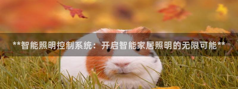 云顶国际邮轮公司