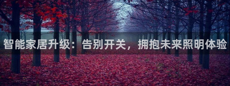 云顶集团APP下载