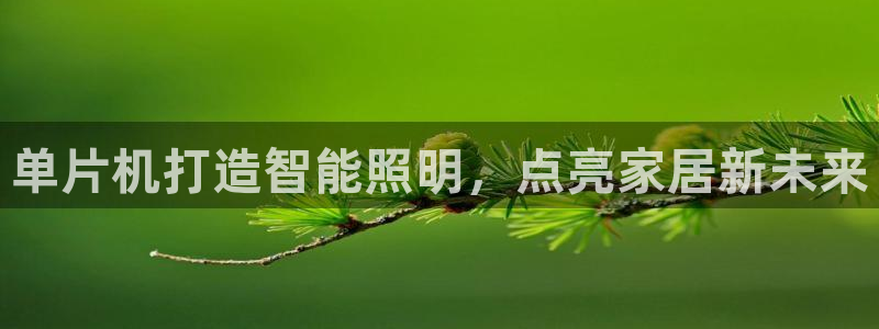 云顶国际大酒店位于哪个街道