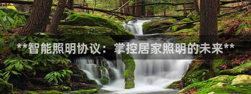 云顶国际大酒店在哪里
