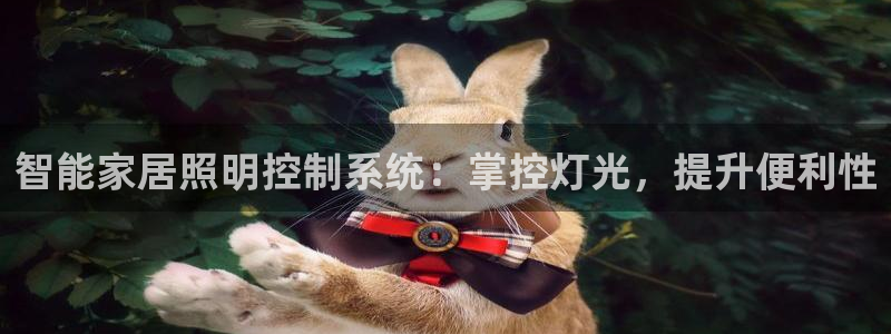 云顶国际商业广场可以充电动车吗