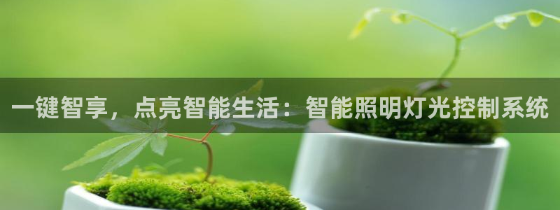 云顶集团董事长林东简历图片
