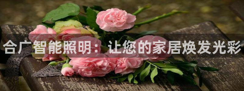 云顶国际app官方网站下载
