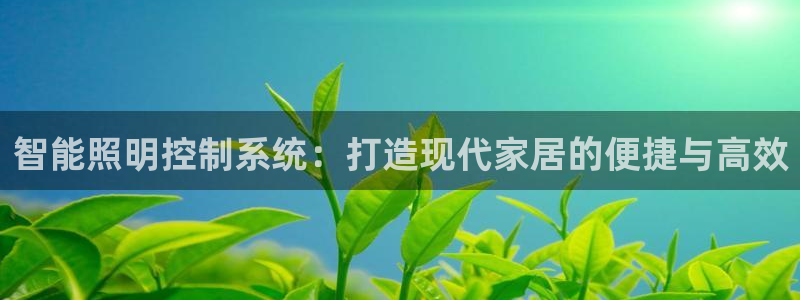 云顶集团 中国排名第几
