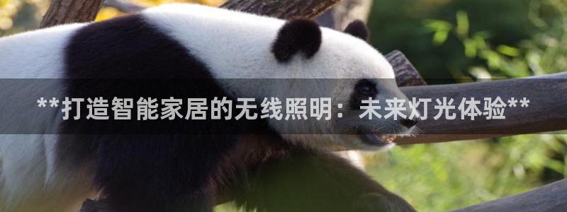 云顶国际服名字不可用