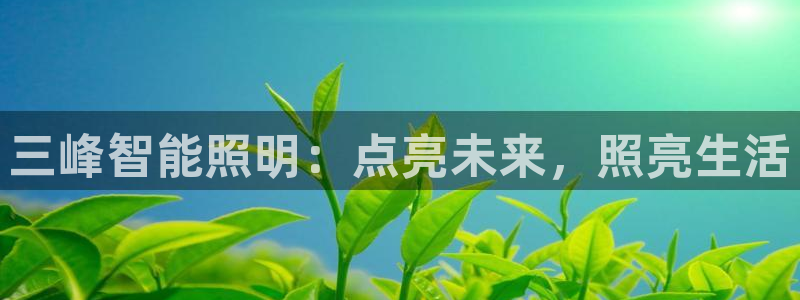 云顶国际A405