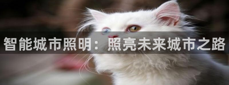 云顶集团林国泰