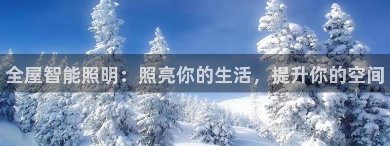 云顶国际下载