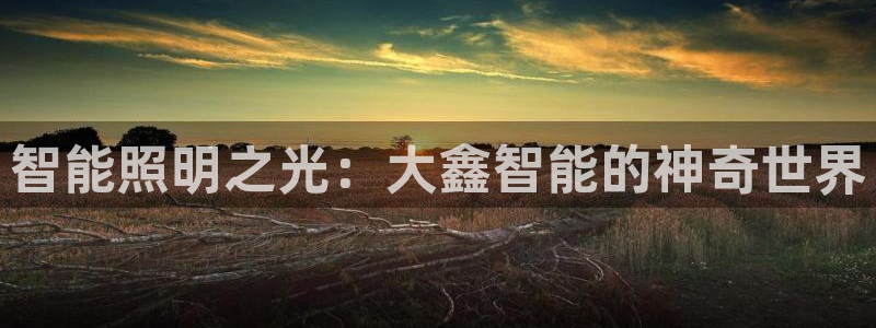 云顶国际大厦在什么地方
