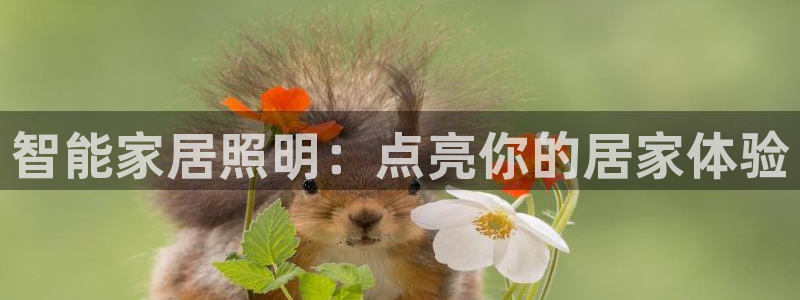 云顶国际yun588