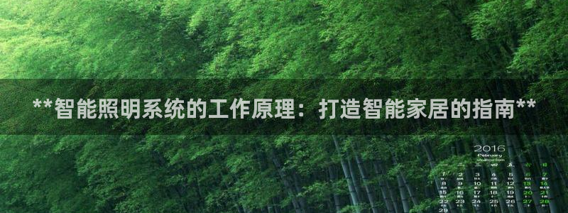 云顶国际晟荣协会荣誉奖项
