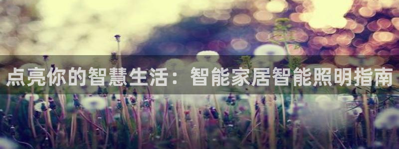 云顶国际nba智库