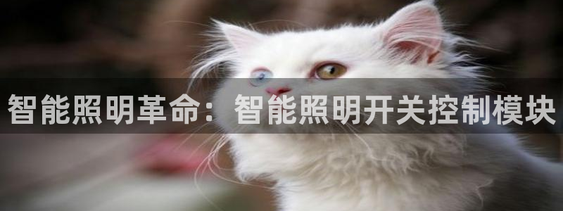 云顶国际平台游戏可靠吗