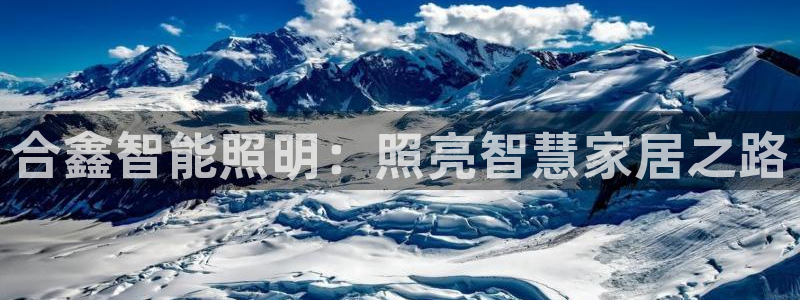 成山路800号(云顶国际商业广场a座101)电话