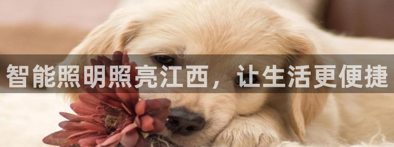 云顶国际服怎么更新