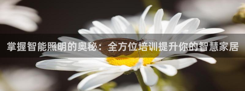 云顶国际缆车起点在哪里啊