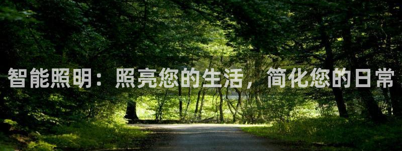 云顶集团网站多少