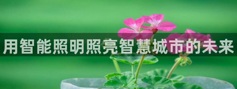 云顶国际官方网站下载手游