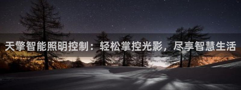 云顶国际投资有限公司
