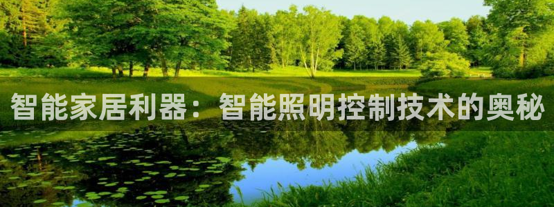云顶国际服哪个服人多