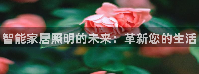 云顶集团网站app下载安装