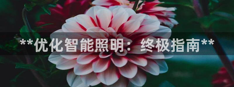 云顶集团招聘