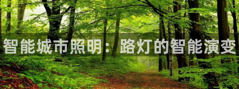 云顶国际服最新版