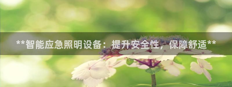云顶国际教育