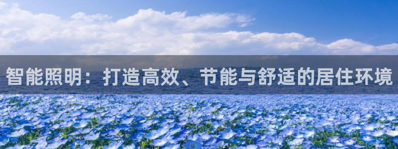 云顶国际酒店老板简介